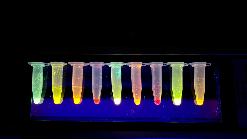 Clinical Chemistry Range